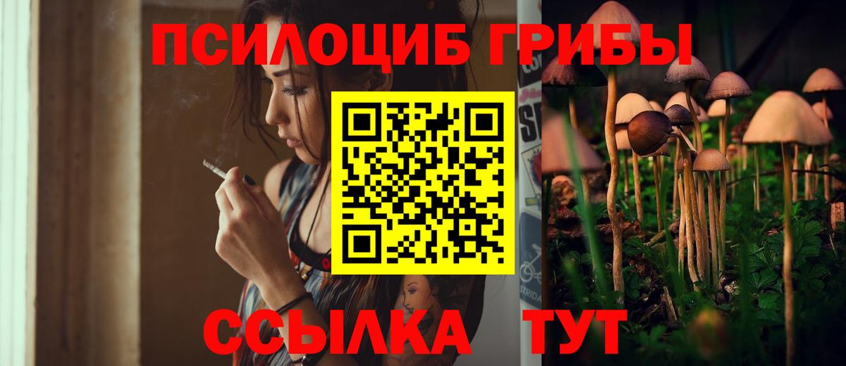 Псилоцибиновые грибы прущие грибы Луховицы