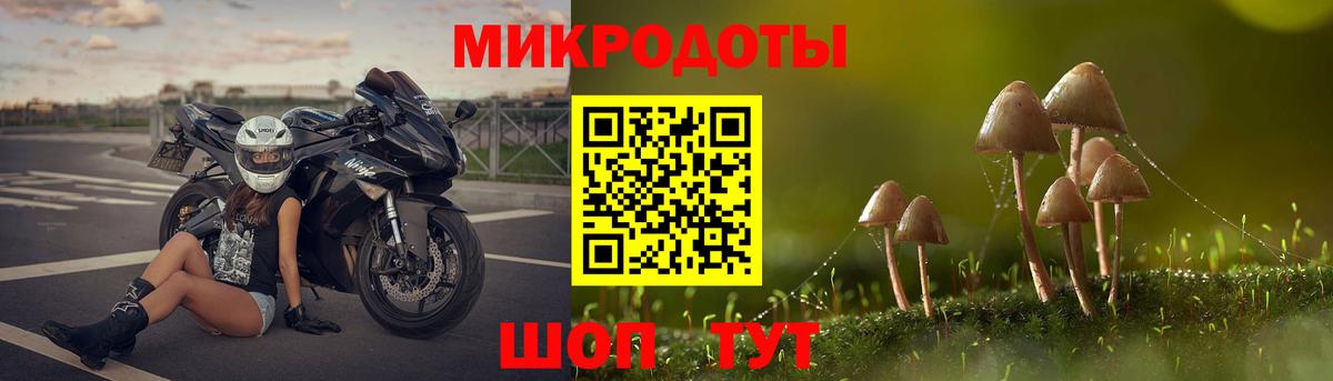 Луховицы  Псилоцибиновые грибы мухоморы  Галлюциногенные грибы GOLDEN TEACHER  купить закладку  Вход с VPN 