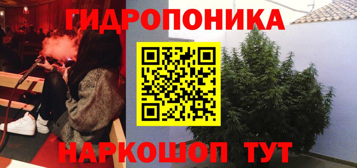 Канабис планчик Луховицы